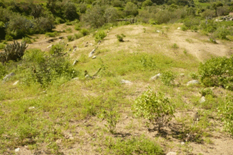 Sitio Arqueol&oacute;gico de Chochoca
