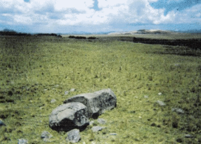 Hallazgo de un monolito de piedra en el sitio arqueol&oacute;gico de Huangor – Rancas (Vera 2004)