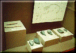 Material L&iacute;tico>
<p>Periodo L&iacute;tico:<BR>
Cazadores - Recolectores (10,500 - 5,500 a.C.)
<BR>
Hace miles de a&ntilde;os, recorr&iacute;an el valle de Moche peque&ntilde;os grupos n&oacute;madas de seres 
humanos, venidos del Norte de nuestro contrinente. Con una tradici&oacute;n cultural 
que denominamos Paijanense, estaban dotados de conocimientos como el uso del 
fuego y la fabricaci&oacute;n de intrumentos especializados para la caza.
</P>
<p>Per&iacute;odo Precer&aacute;mico:<BR>
Inicios de la agricultura, Horticultores Aldeanos ( 5,500- 1,800 a.C.):
<BR>
Durante este tiempo, los hombres pasaron de depredadores a productores de los 
bienes que consumian y necesitaban para subsistir, al inicio del per&iacute;odo 
aparecen los primeros cultigenos (calabaza, pallar, frejol), y a partir de 2,500 
a.C. el Algod&oacute;n y ma&iacute;z; comienzan a formarse las primeras aldeas con peque&ntilde;as 
viviendas y construcciones de car&aacute;cter p&uacute;blico, dedicadas a actividades 
comunales y ceremoniales.
</P>
<p>Periodo Horizonte Temprano:<BR>
Alta Cultura (1,800 - 200 a.C.)
<BR>
Marca el inicio del proceso de civilizaci&oacute;n en los Andes y corresponde al 
florecimiento de la cultura Cupisnique en la costa norte del Per&uacute;. Gran parte de 
la poblaci&oacute;n aparece asentada en aldeas agr&iacute;colas, los templos y centros 
ceremoniales que constituyeron los elementos m&aacute;s relevantes de este per&iacute;odo, son 
realmente centros urbanos incipientes y expresan el grado de especializaci&oacute;n y 
organizaci&oacute;n de sus constructores.
</P>
<p>
Per&iacute;odo Intermedio Temprano:<BR>
La cultura Moche (200 a.C.- 600 d.C.)
<BR>
Epoca de consolidaci&oacute;n de los logros culturales previos, en la sociedad alcanza 
un dominio pleno del medio ambiente y se utilizaron todos los conocimientos para 
aprovechar al m&aacute;ximo los recursos de los diferentes valles de la costa norte, 
efectu&aacute;ndose un proceso de regionalizaci&oacute;n de la cultura.
</P>
<p>
Etapa de formalizaci&oacute;n del fen&oacute;meno urbano, no hab&iacute;an grandes ciudades pero s&iacute; 
extensos pueblos que se establecieron alrededor de los templos. El sitio m&aacute;s 
importante y considerado capital del estado Moche fue el conjunto denominado 
Huaca del Sol y La Luna, ubicado en la parte inferior del cerro Blanco, al Sur 
del rio Moche. Alrededor y entre las dos pir&aacute;mides se concentr&oacute; el pueblo, las 
casas de la &eacute;lite fueron levantadas con adobe y otros materiales durables, sus 
paredes fueron decoradas con elaboradas pinturas murales.
</P>
<p>
Las viviendas populares o de artesanos se construyeron con materiales precarios 
y un poco alejadas de centros urbanos ceremoniales se edificaron complejos 
fortificados en posiciones estrat&eacute;gicas, como Galindo. 
</P>
<p>
Per&iacute;odo Horizonte Medio:<BR>Conquista Wari (600 a.C.- 900 d.C.)
<BR>
Era de grandes cambios en la estructura pol&iacute;tica del Estado Moche. El centro de 
poder se traslada a Pampa grande en Lambayeque, quedando el valle de Moche bajo 
la administraci&oacute;n de un gobierno provincial con sede en Galindo. Se postula la 
invaci&oacute;n de un poder de naturaleza imperial, proveniente de la sierra Sur: el 
imperio Wari.
</P>
<p>
En Galindo se puede apreciar varios elementos arquitect&oacute;nicos, antecedentes que 
luego se van a expresar plenamente en Chan Chan; se evidencia una complejizaci&oacute;n 
del Centro Urbano, el asentamiento estuvo dividido por funci&oacute;n y jerarqu&iacute;a 
social y en la parte central y mejor protegida se encuentra el conjunto de m&aacute;s 
alto nivel, de probable funci&oacute;n pol&iacute;tica y religiosa.
</P>
<p>El reino Chim&uacute;:
<BR>
Per&iacute;odo Intermedio Tard&iacute;o:<BR>Los Estados regionales (900 -1430 d.C)
</P>
<hr>
<img class=